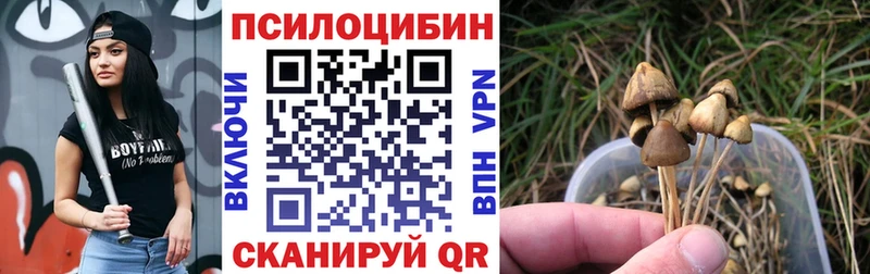 Псилоцибиновые грибы GOLDEN TEACHER  Александровск 